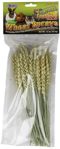 BROWN'S - Tropical Carnival Wheat Sprays Pet Treat