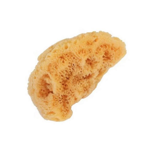 BASS BRUSHES - Natural Sea Sponge Large - 1 Sponge