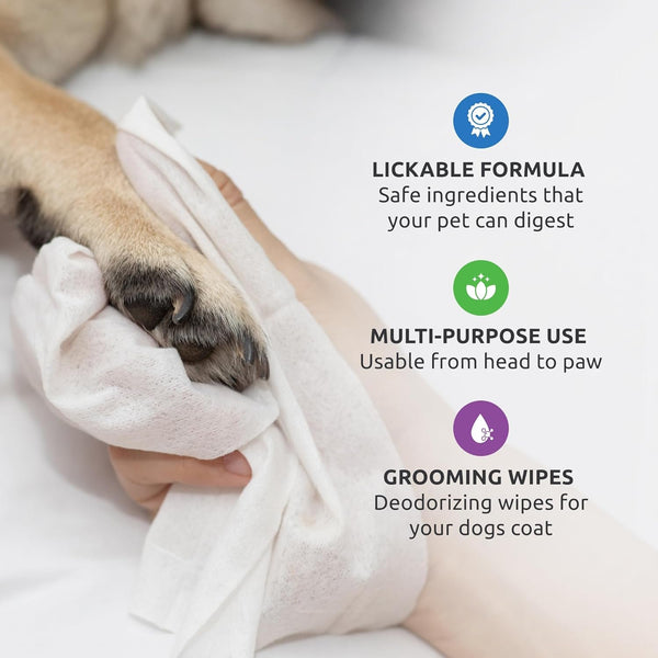 PAWZ - SANIPAW Paw Sanitizing Wipes for Dogs - 60 Wipes