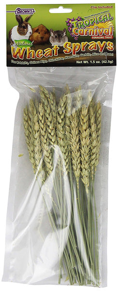 BROWN'S - Tropical Carnival Wheat Sprays Pet Treat